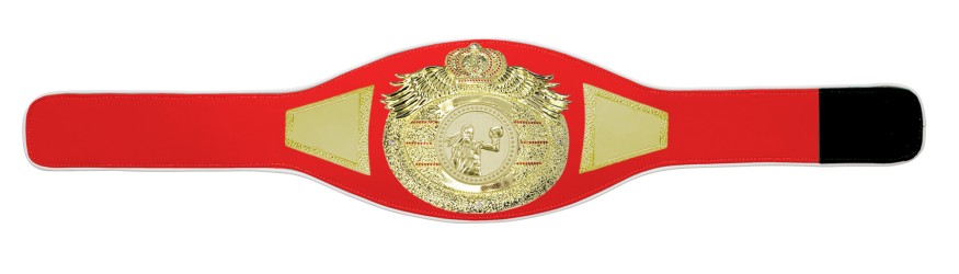 *NEW* PROICON FEMALE BOXING CHAMPIONSHIP BELT/G/FEMBOXG - AVAILABLE IN 6+ COLOURS